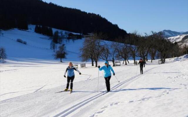 Sportpension Goldegg