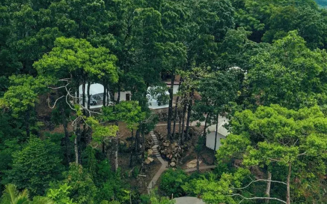 Matahom Forest Glamping Tent 2