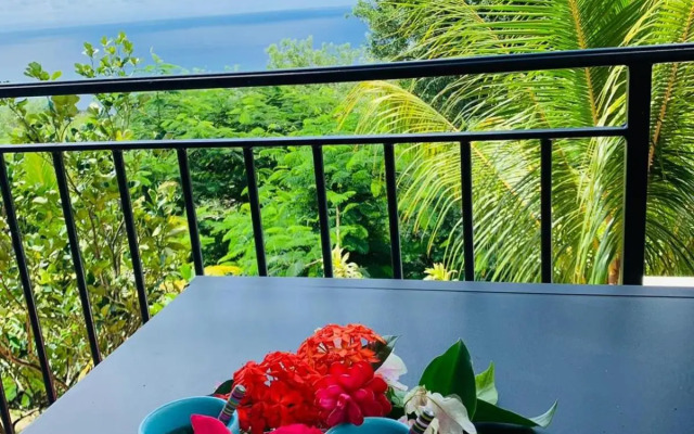 Magnifique Villa Bauhinia, Piscine vue mer