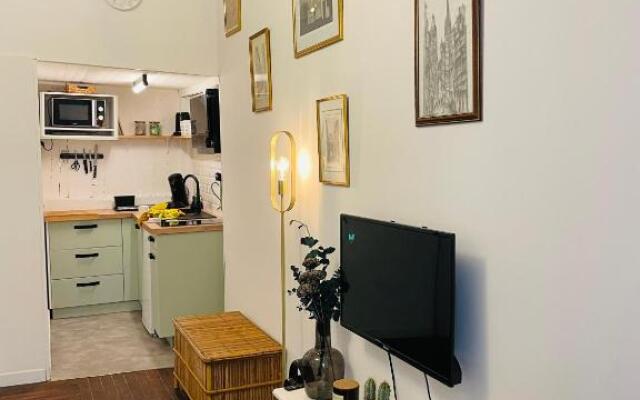Appartement cosy en plein coeur historique