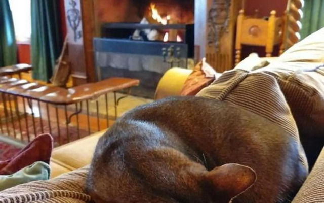 The FarSide Country Manor