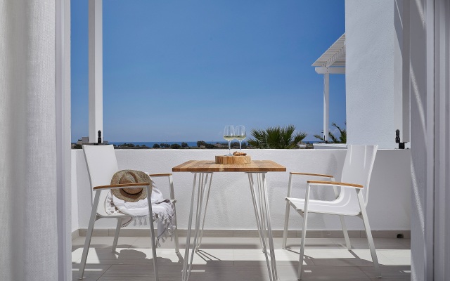Petri Suites