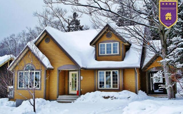 Chalets Alpins - 16 Chemin des Skieurs