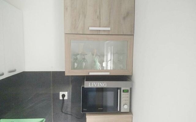 Apartment Damjan