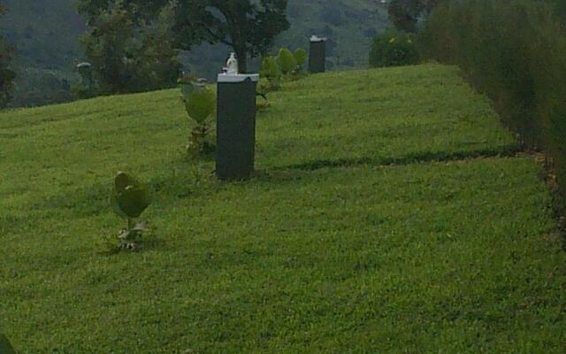 The Crested Crane Bwindi