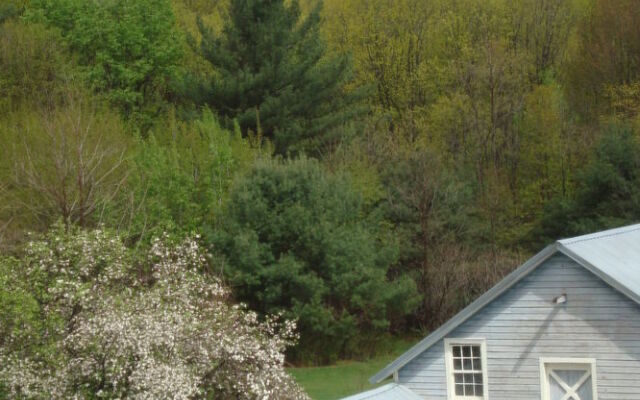 The Clark House Bed and Breakfast