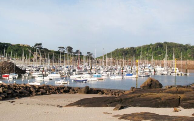 Les Hortensias (TBD100)