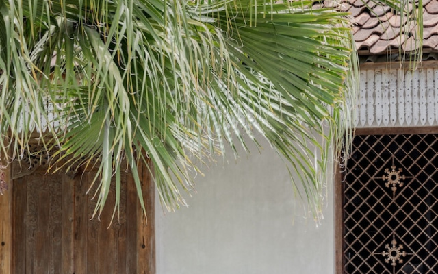 Villa Palm Jari 1 by Alfred in Bali