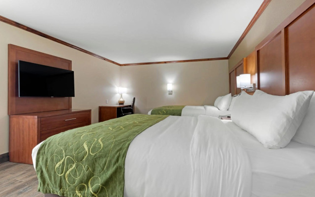 Comfort Suites West Monroe near Ike Hamilton Expo Center