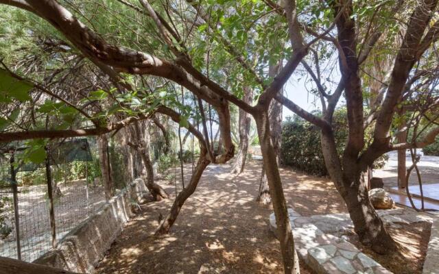 Scopello Flat with Panoramic Courtyard and Parking