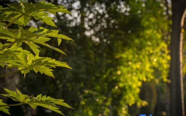 Xishuangbanna Jinghong Zhongtai Homestay (Rainforest Lanshan Branch)