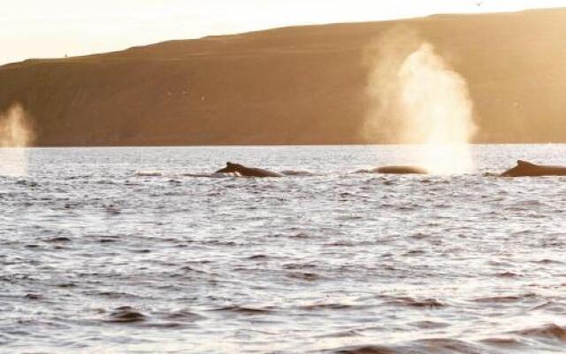 The Convent Guesthouse