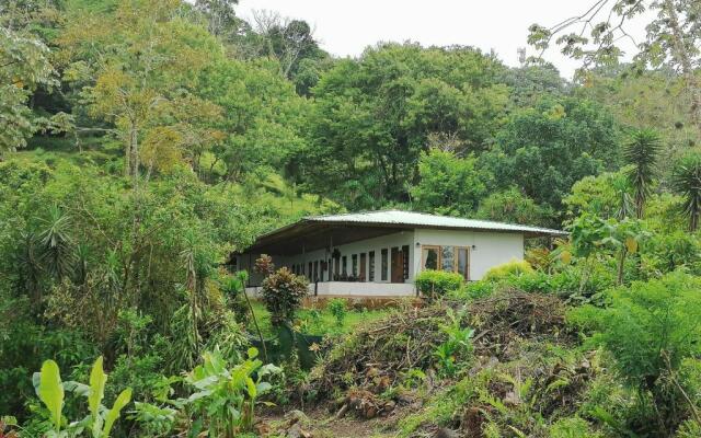 La Ceiba Tree Lodge