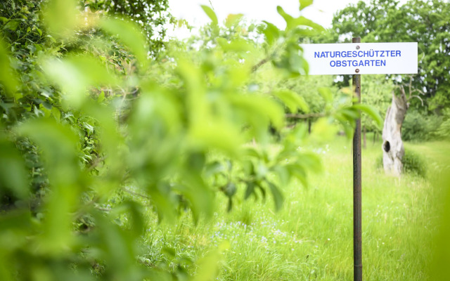 Schloss mit Park Kaarz