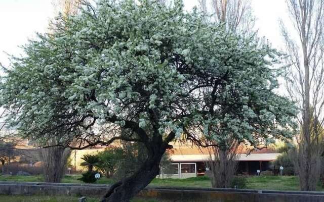 B&B Il Pero Selvatico