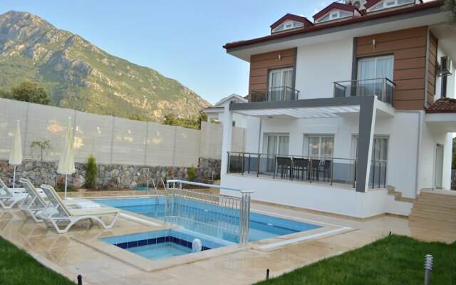 New Age Villa Lilya Hisar