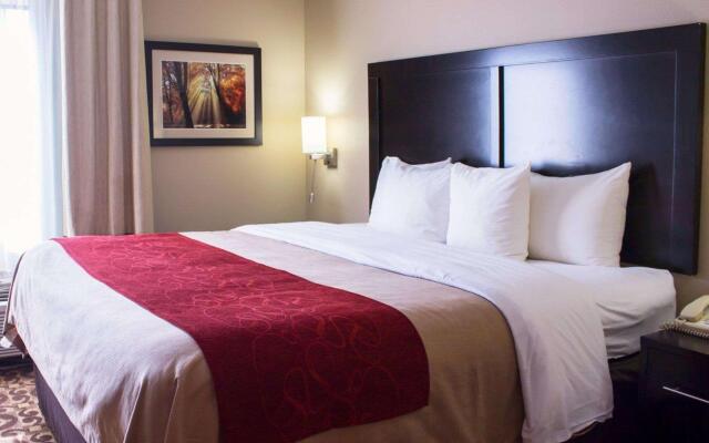 Comfort Inn & Suites Trussville I-59 exit 141