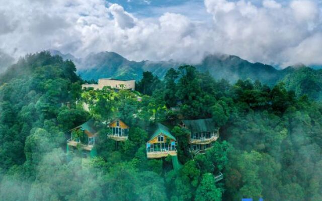 Yinxin'gu Treehouse Hotel