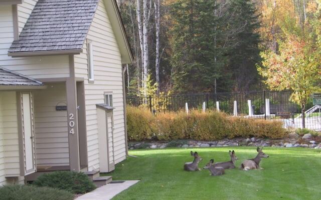 Mountain Harbor #204 2 Bedroom Condo
