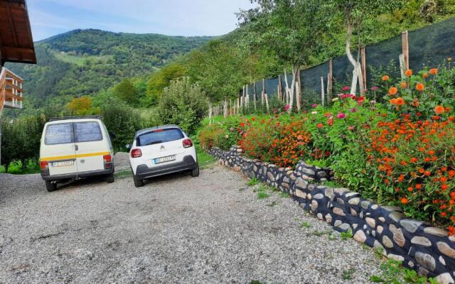 Smeštaj pored Drine