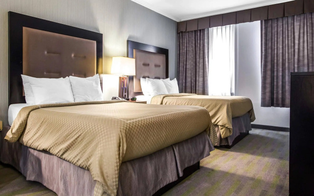 Quality Inn Center City
