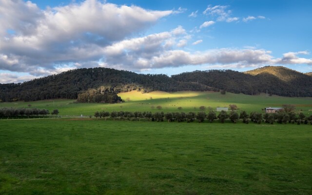 Dreaming of The Buckland