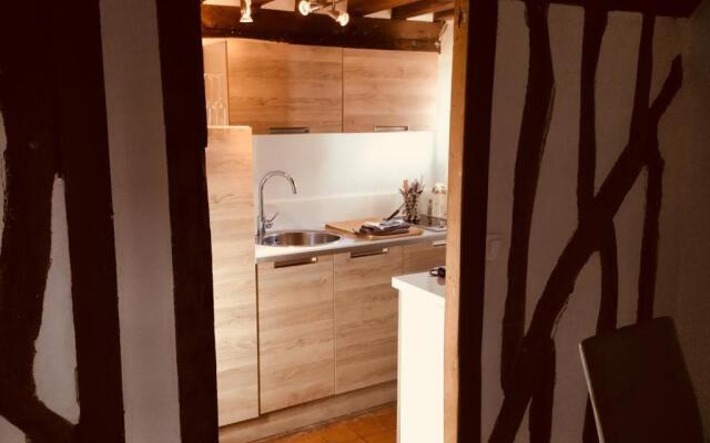 Les 4 lions duplex chic et charme