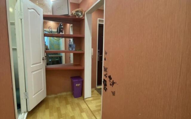 Саквояж на улице Молокова 64