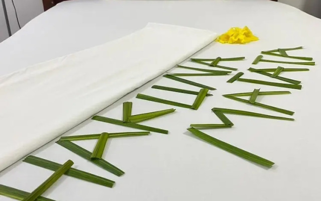 zanzllywood hotel and apartments