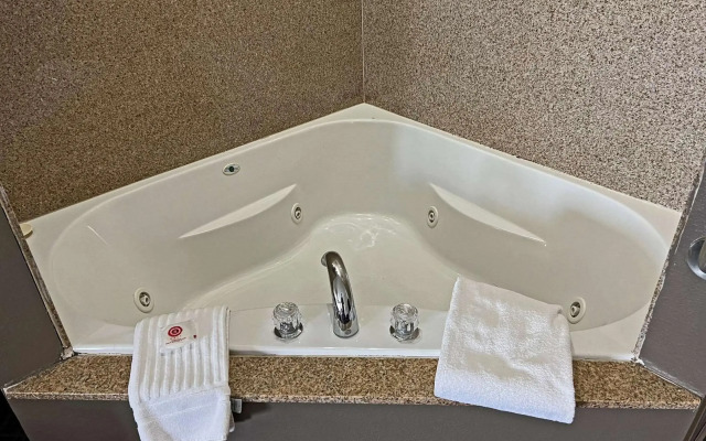 Comfort Suites Jackson-Cape Girardeau