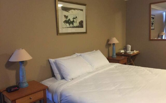 Man From Snowy River Hotel