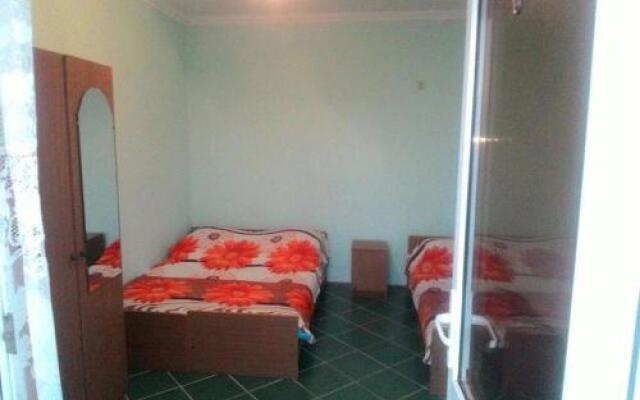 Guest house on Fruktovaya 317