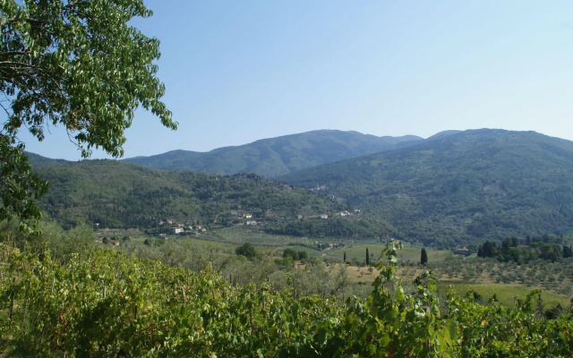 Agriturismo Poggio di Montepescoli - Il Noce