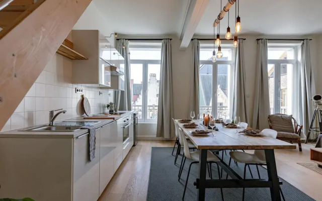 Apartment With Large Terrace in the City of Ghent