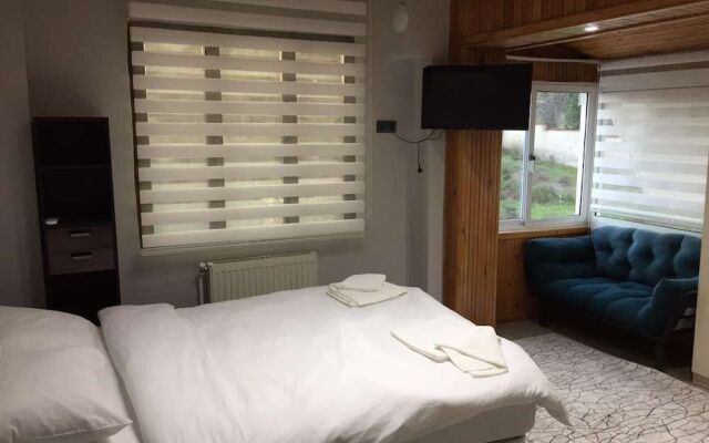 Sakiz Tiny House & Apart