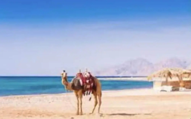 Beautiful Villa With Pool in Hurghada