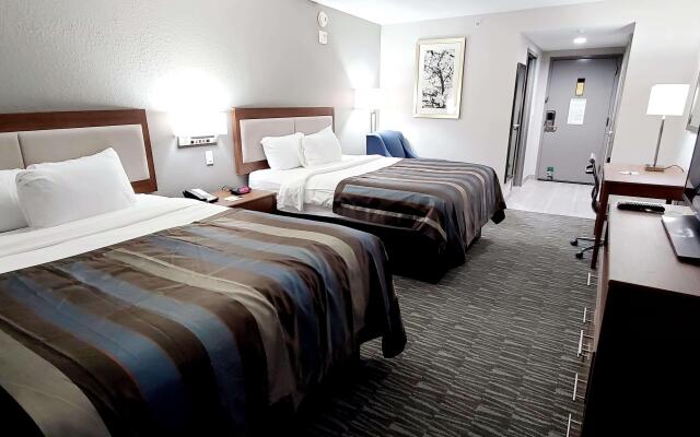 Spark by Hilton Tupelo