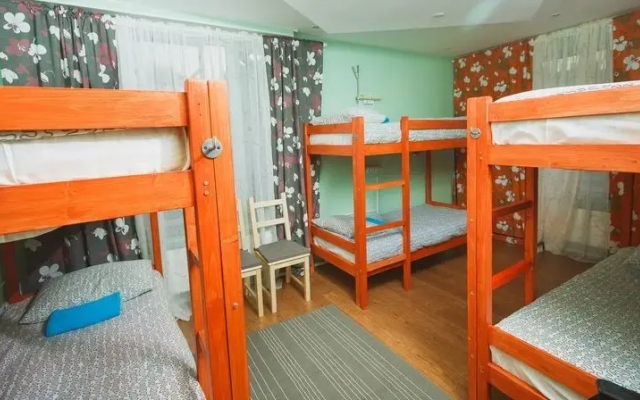 Kangaroo hostel