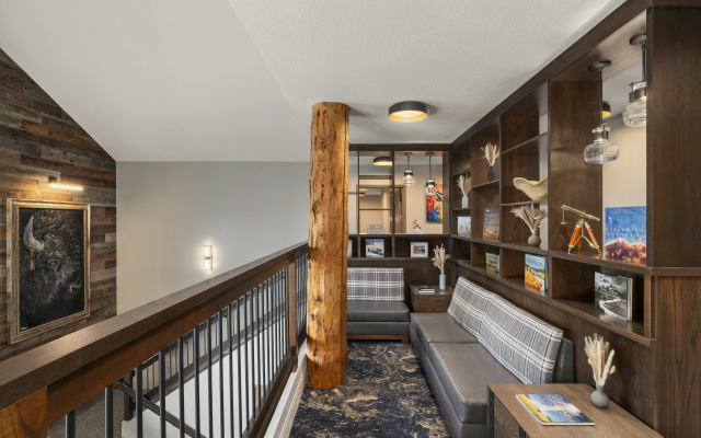 Starlite Yellowstone, Tapestry Collection by Hilton