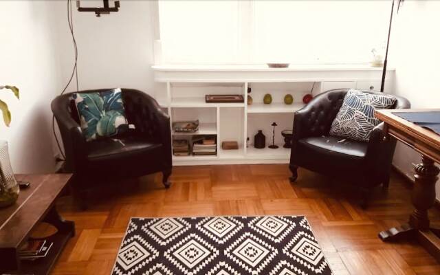 Classy and Petit Downtown Apartment