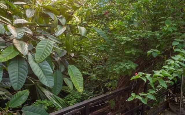 Green Home Homestay