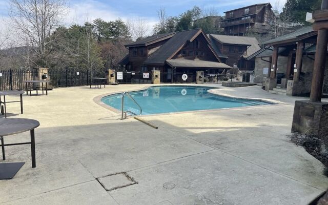 Smoky Mountain Bearadise w Pool.