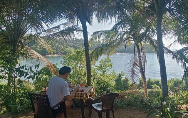 Surf Paradise Hotel