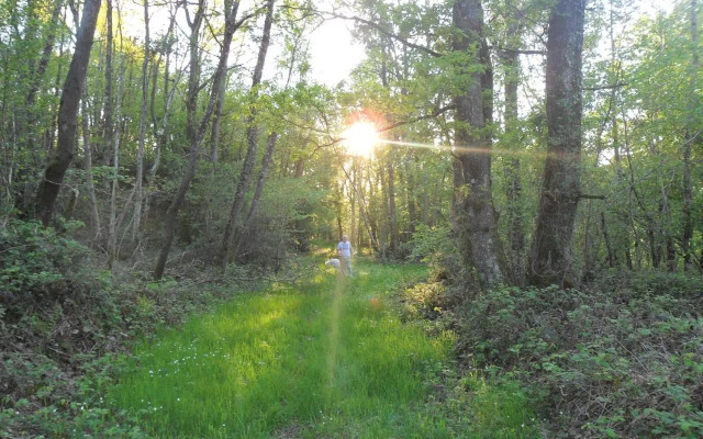 Les Hautes Loignieres