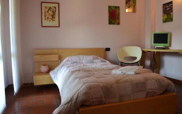 B&B Orio BGY