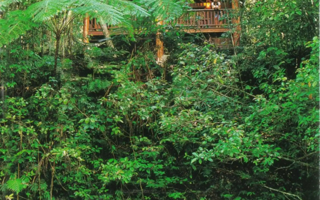 The Canopy Rainforest Treehouses and Wildlife Sanctuary