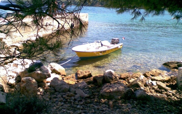 Apartment Julijana - economy apartment A1 Bibinje, Zadar riviera