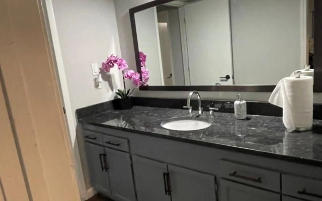 Luxurious Apartment in Katy