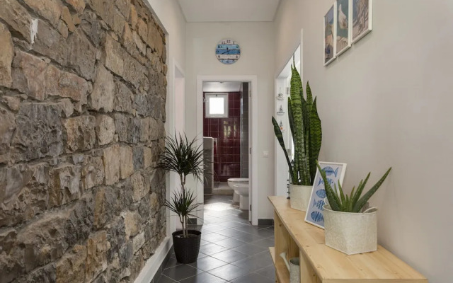 Lemon Hostel Faro