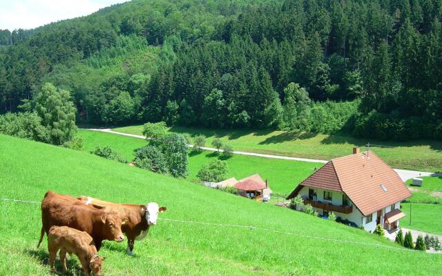 A four person holiday home in a delightful, quiet area.